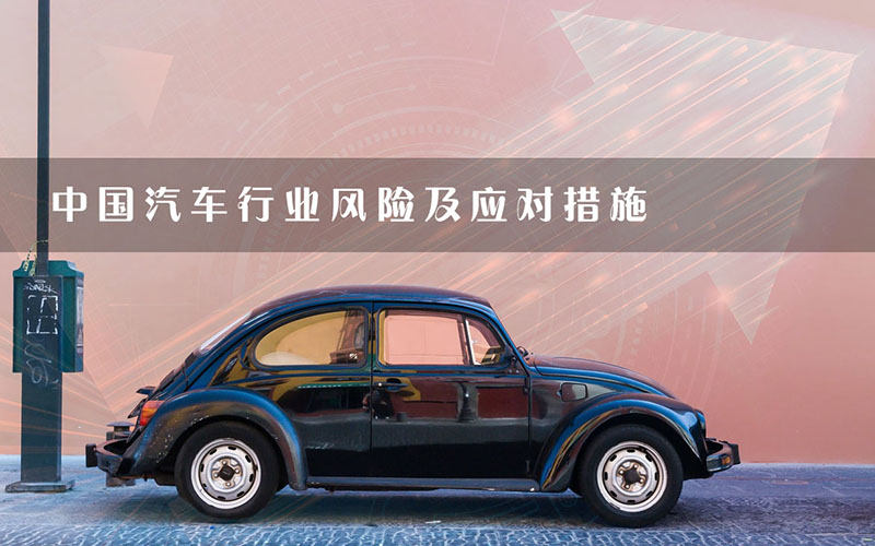 中國(guó)汽車行業(yè)風(fēng)險(xiǎn)及應(yīng)對(duì)措施.jpg